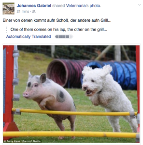 Screen Shot 2015-09-13 at 12.57.34 PM