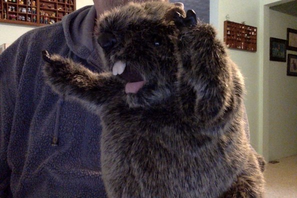 Photo on 2-2-16 at 11.31 AM